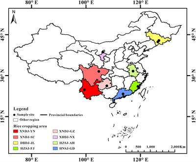 Soil Respiration of Paddy Soils Were Stimulated by Semiconductor Minerals